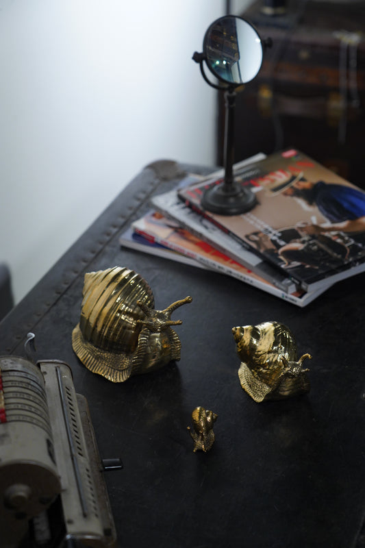 Brassnail Family | Bundle Sale