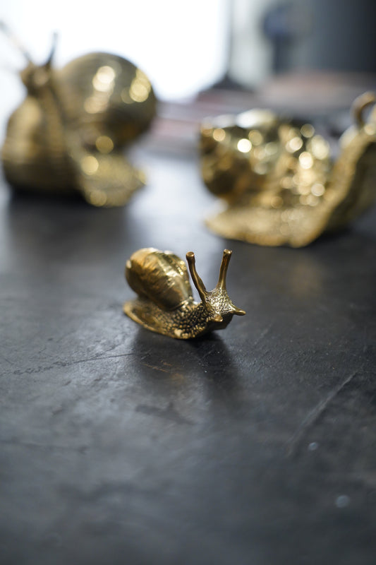 Brassnail - Brass Table Decor - Small